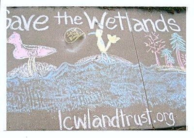 Save Los Cerritos Wetlands