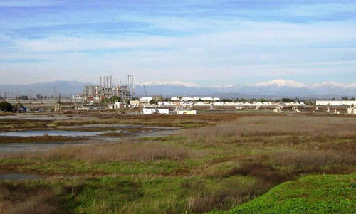 Hellman Wetlands Vista