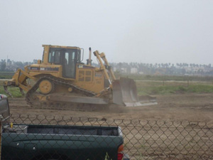 destruction of the Los Cerritos wetlands